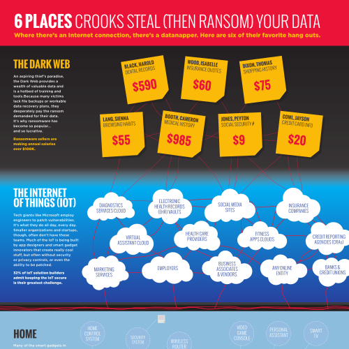 Data Privacy Infographic: 6 Places Crooks Steal and Ransom Your Data (sample)